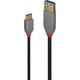 Kabel USB Lindy USB-A - USB-C 0.5 m Czarny (36910)