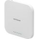 Access Point NETGEAR WAX610 (WAX610-100EUS)