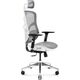 Fotel Diablo Chairs V-Basic Biało-szary