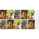 Herlitz Zeszyt A5/32K, linia podwójna, Animals (10szt)