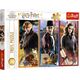 Trefl Puzzle 200el W świecie magii i czarów. Harry Potter 13277 Trefl p12