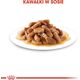 Royal Canin Karma SHN Mini Puppy w sosie 12x85g