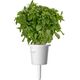 Click And Grow Click&Grow Nasiona Smart Soil mix ziół włoskich9pak