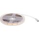 Taśma LED Activejet Taśma LED COB 5m barwa zimna IP20