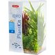 Zolux Plantkit Idro N°4