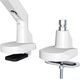 Neomounts Uchwyt biurkowy na monitor 10" - 32" (FPMA-D750WHITE2)
