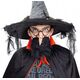 GoDan Okulary z nosem Baba Jaga one size