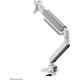 Neomounts Uchwyt biurkowy na monitor 17" - 49" (DS70PLUS-450WH1)