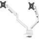 Neomounts Uchwyt biurkowy na 2 monitory 17" - 32" (DS70-250WH2)