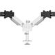 Neomounts Uchwyt biurkowy na 2 monitory 24" - 34" (DS65S-950WH2)
