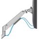 Neomounts Uchwyt biurkowy na monitor 17" - 35" (DS70-250SL1)