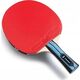 Butterfly Paletka Rakietka do Tenisa Stołowego Ping Pong Team BUTTERFLY Challenger