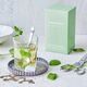 Teministeriet Teministeriet - Supertea Green Tea Mint Organic - Herbata 20 Torebek