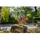 Karcher Pet wash brush