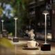 Sompex Sompex FLORA grey Battery-operated Outdoor Light