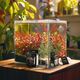 Aquarius Aquario Professional 2.0 CO2 komplektas su 5L balionu