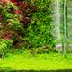 Aquarius Aquario Professional 2.0 CO2 komplektas su 5L balionu