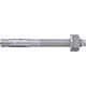Fischer Bolzenanker FBZ 12/10 100 St.