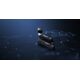 Pendrive Kingston Kingston IronKey D500S 128GB USB stick