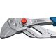 Bosch Bosch pliers wrench Professional 250mm (blue/black)