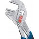Bosch Bosch pliers wrench Professional 250mm (blue/black)