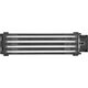 Thermaltake Pokrywa ARGB do pamięci RAM Pacific R1 Plus (CL-O020-PL00SW-A)