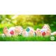 Smart Happy Cube - Pro - 6-colour pack SMART