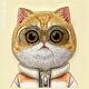 Nimmy case iPhone 16 Pro Max 6.9" khaki Cool&Cute 2.0 Cat
