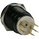Lamptron Włącznik 19mm Blackline Zielony (LAMP-SW1913L-H)