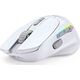 Mysz Glorious PC Gaming Race Mysz gamingowa Glorious PC Gaming Race Model