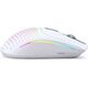 Mysz Glorious PC Gaming Race Mysz gamingowa Glorious PC Gaming Race Model