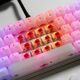 Glorious Glorious Fox Heavy Switches, mechanisch, 5-Pin, linear, MX-Stem, 55g - lubed, 110 Stück