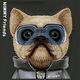 Nimmy iPhone 15 Pro 6.1" Case Black Cool&Cute 2.0 Dog
