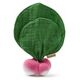 Oli&Carol Oli&Carol Ramona the Radish Mini Doudou-Teether, 0+