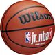 Wilson Wilson Jr NBA Fam Logo In/Out Ball WZ2009801XB Orange 7 13492007 97512623216