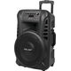 Głośnik Azusa Kolumna aktywna ( z 2 mikrofonami bezprzewodowymi, SD, Bluetooth, USB) 12" 40W