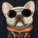 Nimmy iPhone 15 6.1" case black/black Glasses Cool Dog