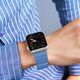 Dux Ducis Magnetic Strap Apple Watch 4/5/6/7/8/9/SE/10 40/41/42mm blue (Chain Version)