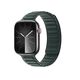 Dux Ducis Strap BL Apple Watch 4/5/6/7/SE/8/9/10 40/41/42mm green
