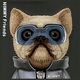Nimmy iPhone 15 Pro Max 6.7" Case Black Cool&Cute 2.0 Dog