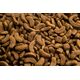 Synteza CLUB4Ł PIES 2kg EX MEDIUM