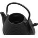 Bredemeijer Bredemeijer Teapot Wuhan 1,0l Gusseisen black +Filter 153005