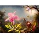 Bluebird Puzzle Puzzle 1000 Orchidea Cattleya i trzy kolibry