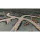 Battle Systems Ltd BattleSystems: Roads & Rivers