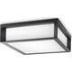Kinkiet Philips OUTDOOR LIGHT SKIES 2X42W E27 IP44