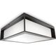 Kinkiet Philips OUTDOOR LIGHT SKIES 2X42W E27 IP44