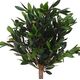 ProGarden Drzewko oliwne w donicy duże 94 cm