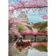 Clementoni CLE puzzle 1000 HQ Himeji Castle in spring 39819