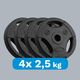 Rebel Zestaw obciążeń bitumicznych 4x2.5kg, otwór 31mm, talerz z uchwytami, REBEL ACTIVE