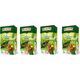 Big Active HERBATA LIŚCIASTA ZIELONA Z OPUNCJĄ BIG-ACTIVE 100G 56867922